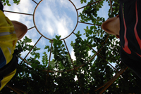 Immagine realizzata dai ragazzi dell'Ipm di Milano