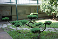 Immagine realizzata dai ragazzi dell'Ipm di Milano